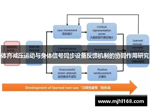 体育减压运动与身体信号同步设备反馈机制的协同作用研究